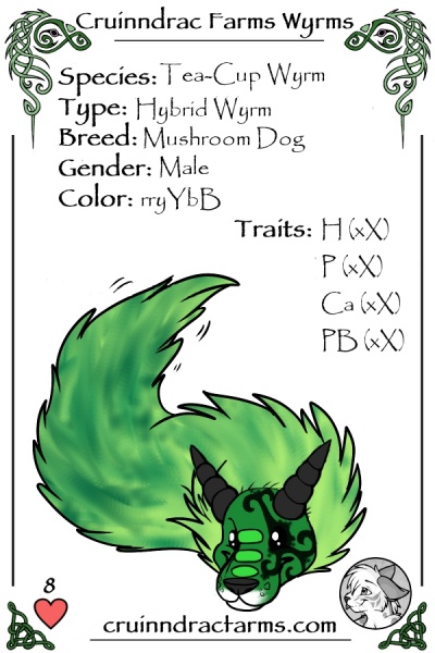 File:WuanWuan card.jpg