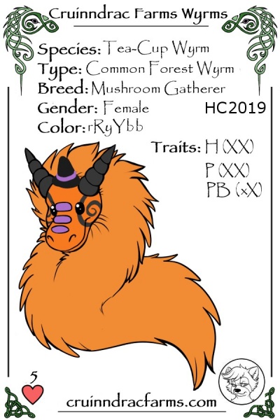 File:Castaspella card.jpg