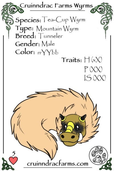 File:Bruiser card.jpg