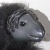 CCH Professor Snape icon.jpg