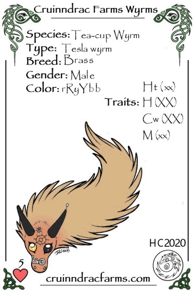 File:Piastra card.jpg