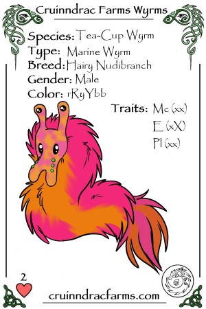 Dragonfruit card.jpg