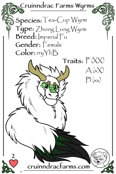 File:Khotan card.jpg