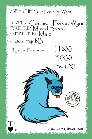 Loko card.jpg