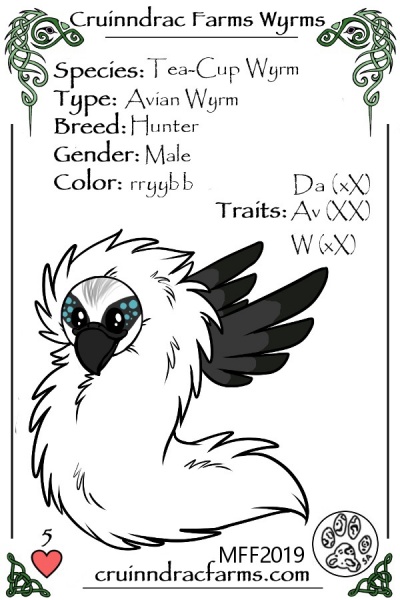 File:Intensity card.jpg