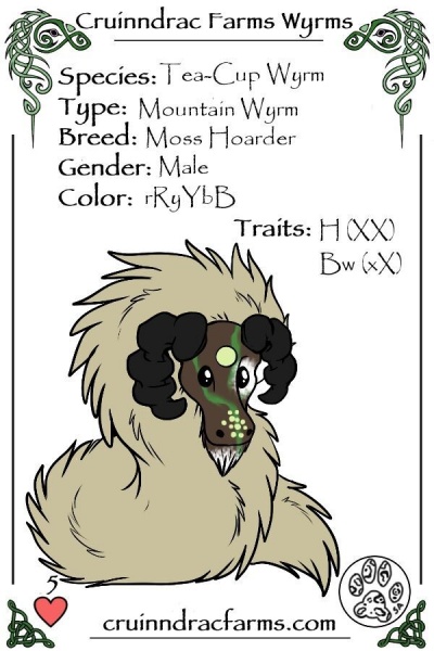 File:Lichen card.jpg