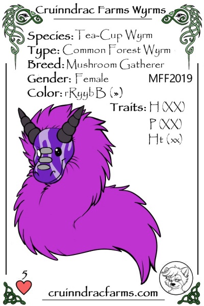 File:Fizzlepop Berrytwist card.jpg