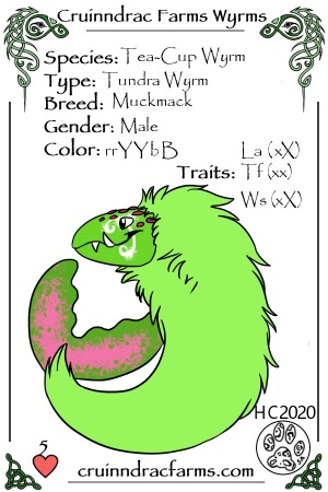 Mackintosh-Pi card.jpg