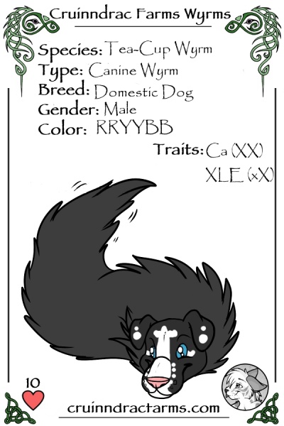 File:Plinkk card.jpg