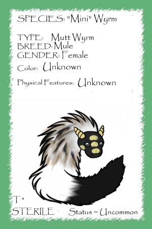 Aurora card.jpg