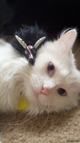 File:Shoulder Angel.jpg