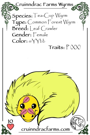 Nona Ivy Evergreen card.jpg