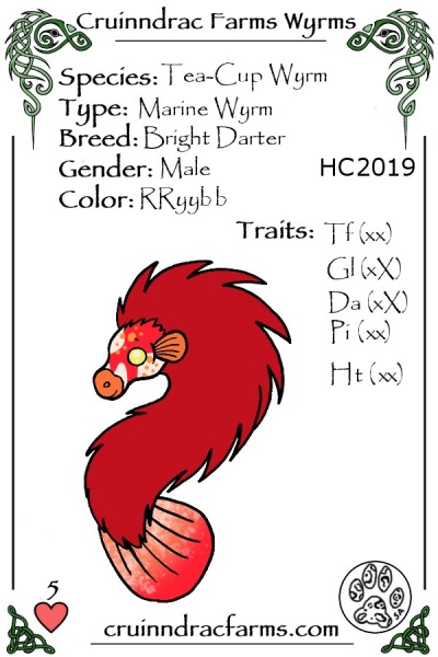 File:Gusty's Firecracker card.jpg