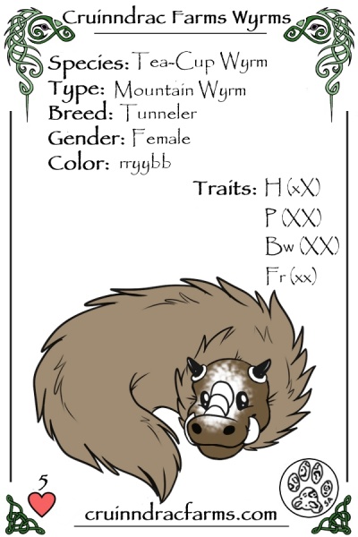 File:Olivine card.jpg