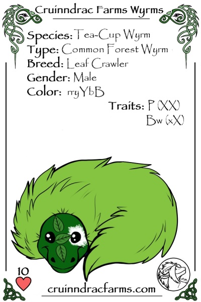 File:Bonsai Tree card.jpg