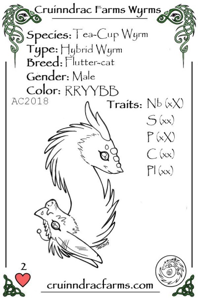 File:Badger card.jpg