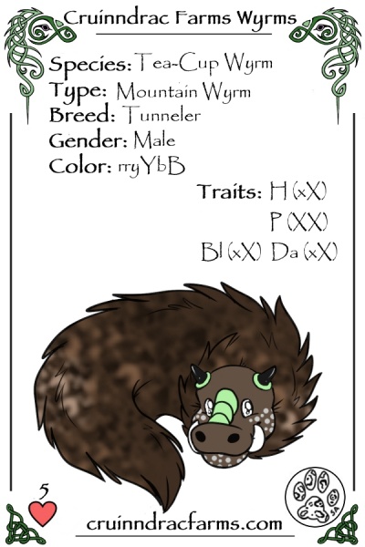 File:Oolong card.jpg