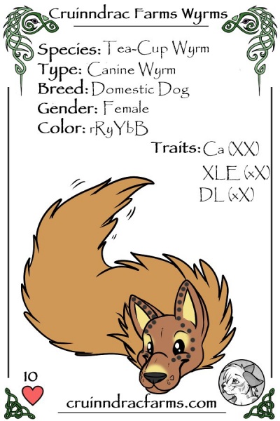 File:Kijana card.jpg