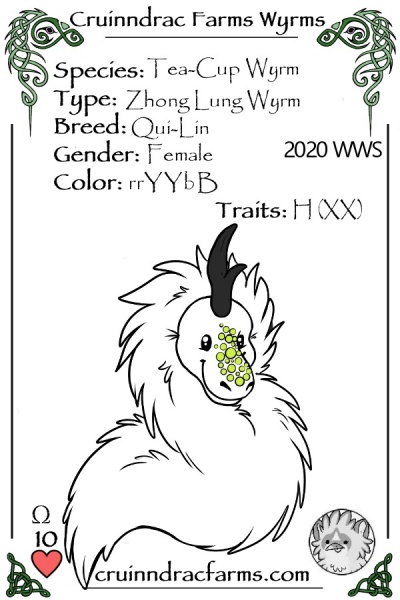 File:Anemone card.jpg