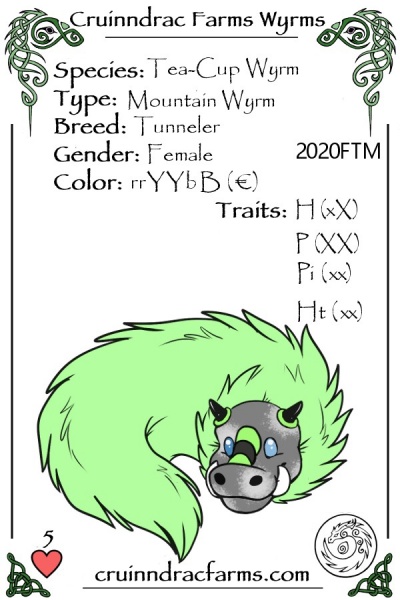 File:RadPig card.jpg