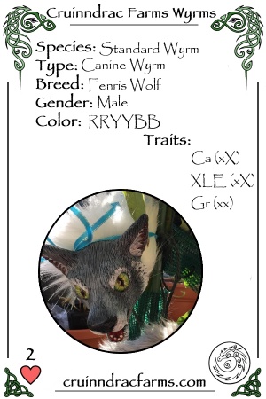 Vanagandr, the Fenris Wolf card.jpg