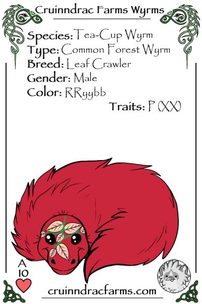 File:Habanero card.jpg