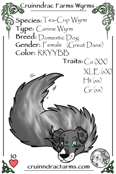 File:Lion Queen card.jpg