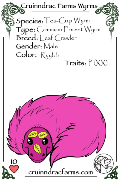 File:Lollipop card.jpg