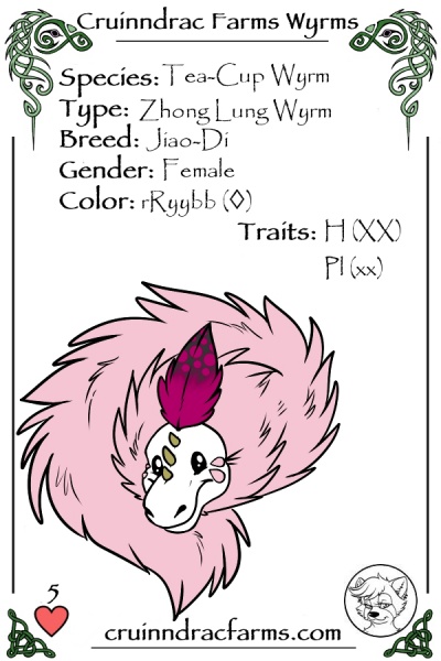 File:Yum Yum card.jpg