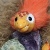 Salmon icon.jpg