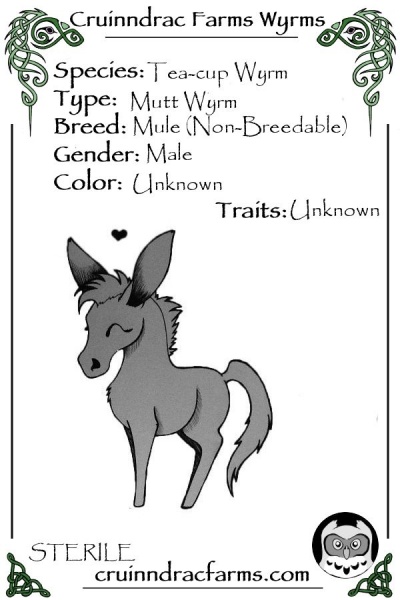 File:Twizzle card.jpg