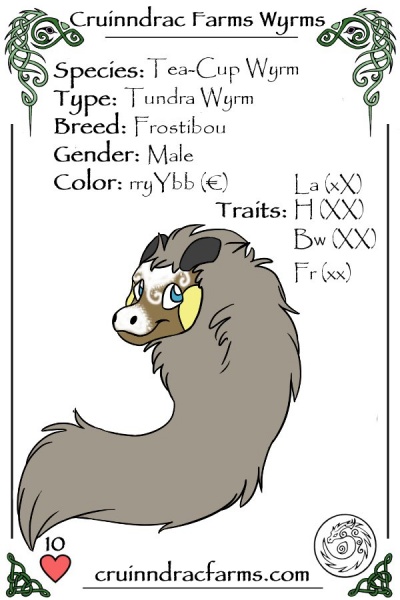 File:Windrose card.jpg