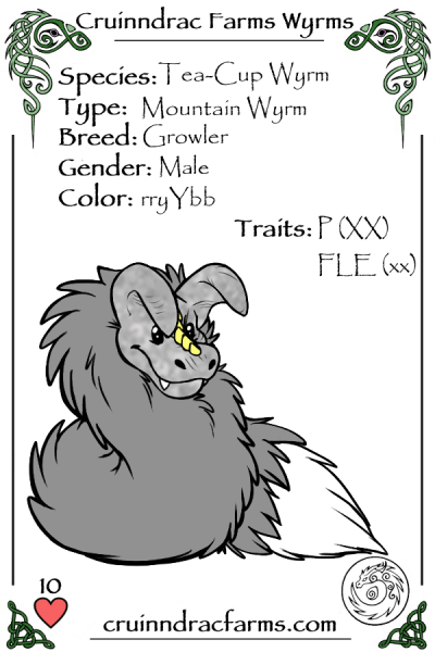 File:Arren card.png