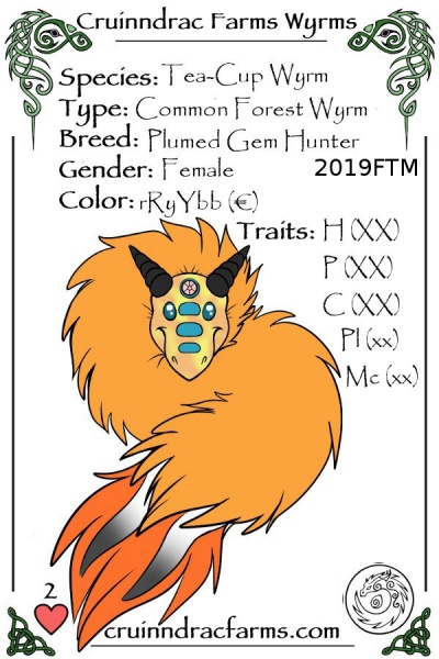 File:Cackle card.jpg