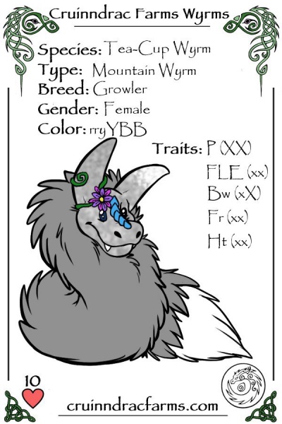 File:Equinox card.jpg