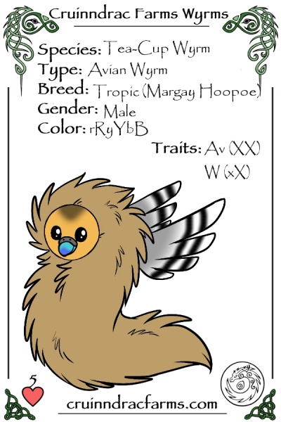 File:Quarrel card.jpg