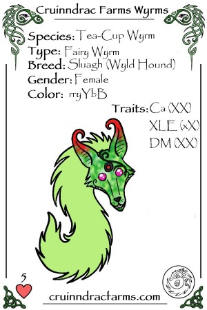 SS Wylde Mitzi card.jpg