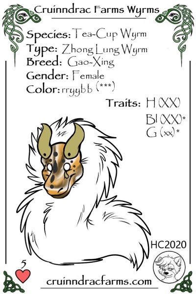 File:Bewitch card.jpg