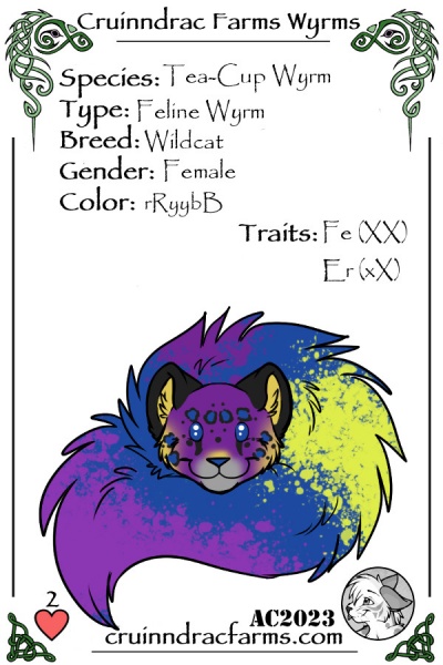 File:Stardust. card.jpg