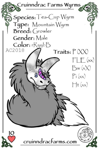 File:Hisoka card.jpg