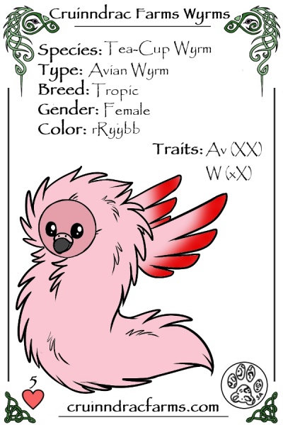 File:Lawn Art card.jpg