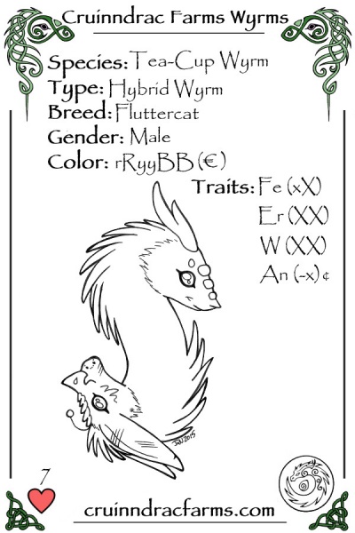 File:Adonis card.jpg