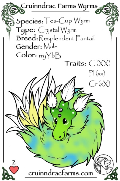 File:Flamenco card.jpg