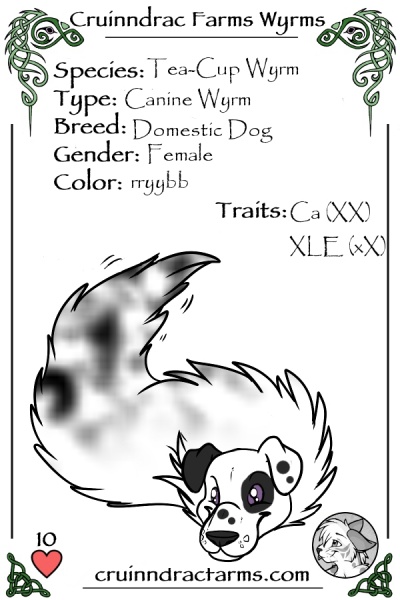 File:Perdita card.jpg