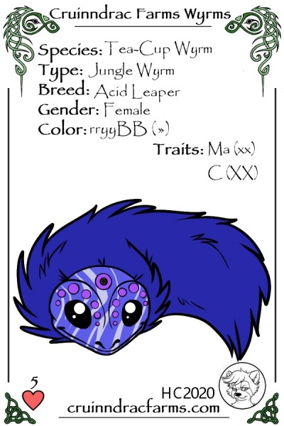 File:Mong-i card.jpg