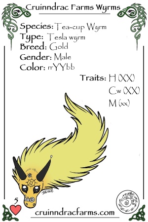 O.ToT.O card.jpg