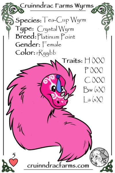 File:Miss Molly card.jpg