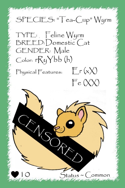 File:Purrito card.jpg