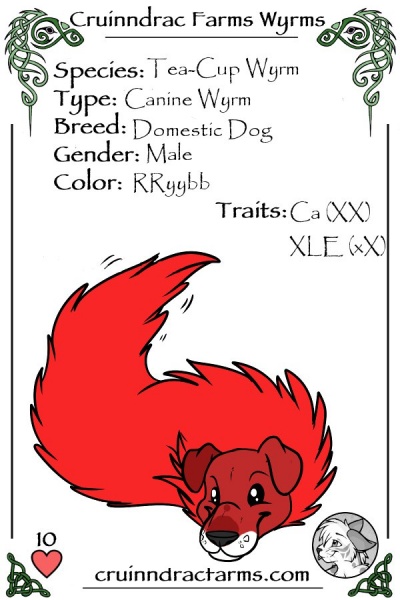 File:Jason Lee Scott card.jpg