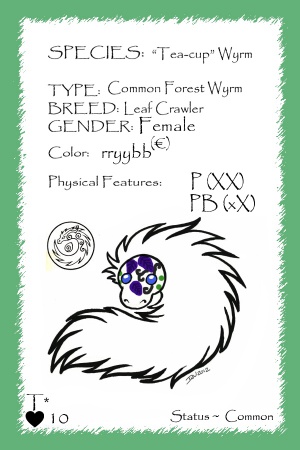 Dream card.jpg